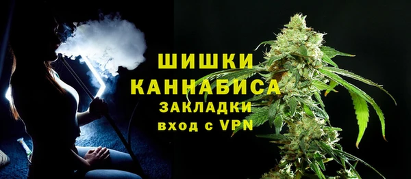 индика Балахна