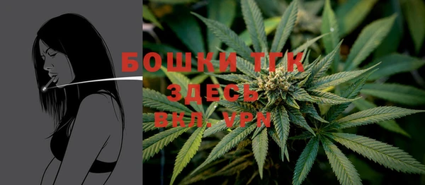 индика Балахна