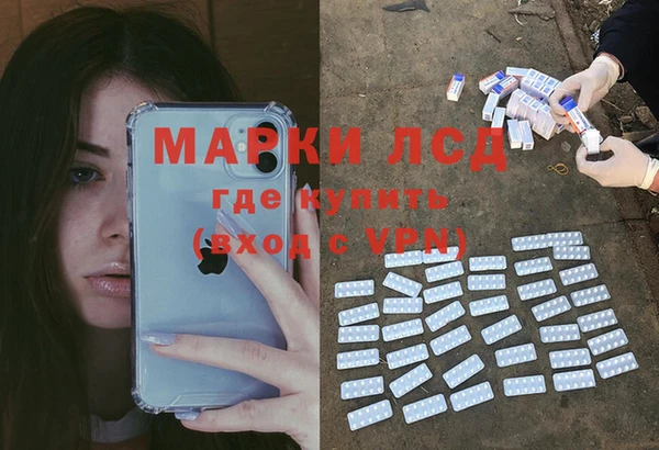 дживик Баксан