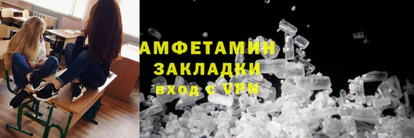 индика Балахна