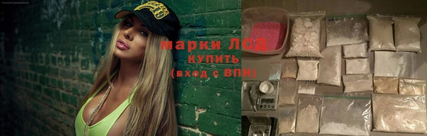 дживик Баксан