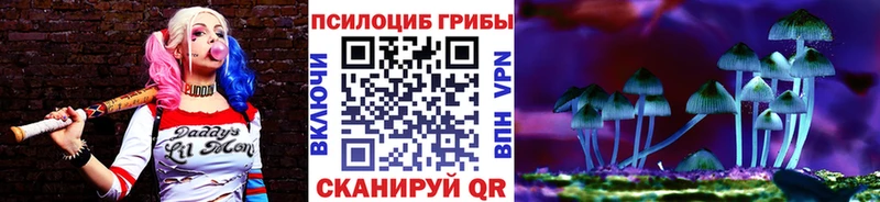 Псилоцибиновые грибы GOLDEN TEACHER  Черняховск 